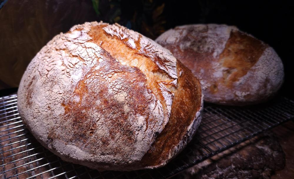 SourdoughinfridgesinceFridayMarch15th5dayfermentationtwoBoulesbakedMarch20th2024.thumb.jpg.4179d96c537b48758c1b1cd1cfb03784.jpg