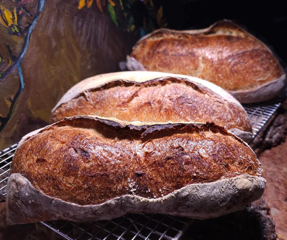 SourdoughstartedwithLevainMarch7thbakedMarch13th2024.thumb.jpg.d6ba20bb6f496a9dfe1359e7bb106b20.jpg