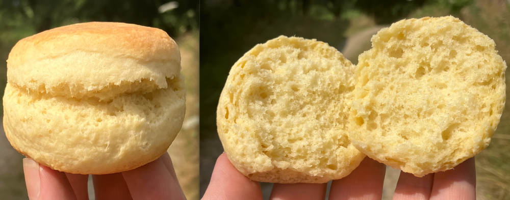 Scone.thumb.png.625496d4cc0576d4f8cd2bdb1270c895.png