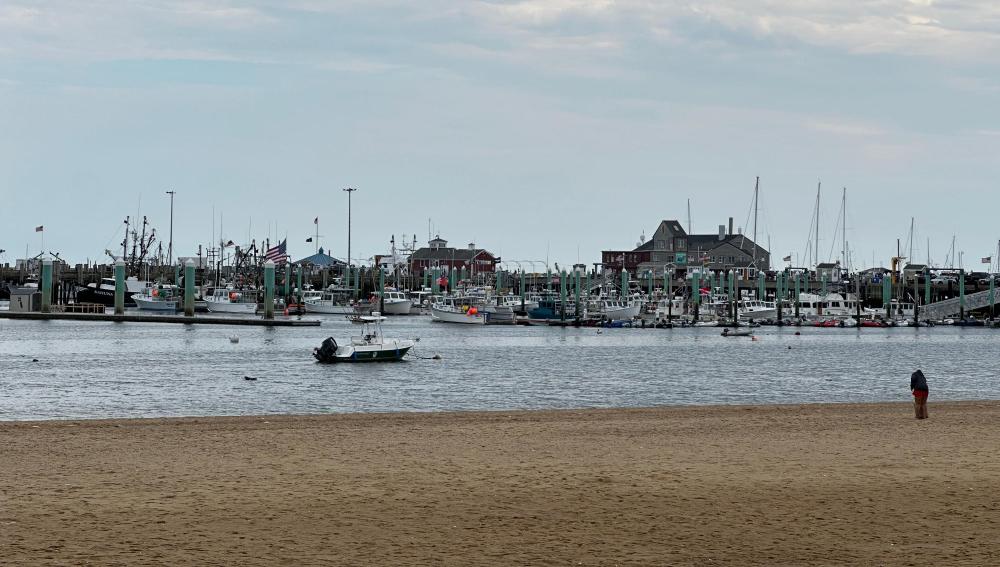 ptown beach.jpg