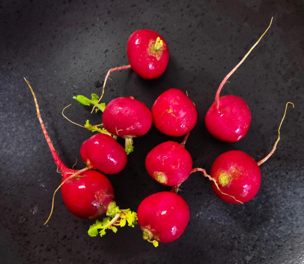 radishes.thumb.jpg.cc6cc53335bf98b6ee1481d81e1fe090.jpg