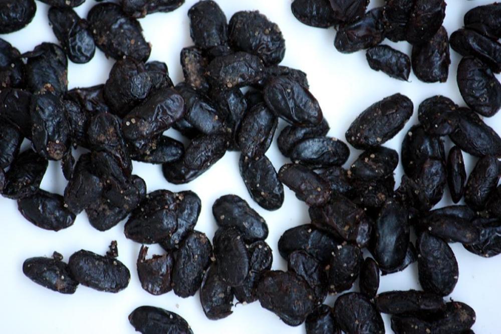 Fermentedblackbeans2.thumb.jpg.0bab4764e90f7a30ee27ebfbff041986.jpg