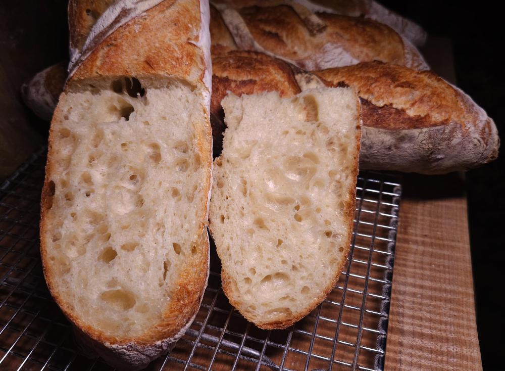 SourdoughBigaAugust2ndbakedAugust5th3.thumb.jpg.707b788f5af9b6d62b0eed8cf0568854.jpg