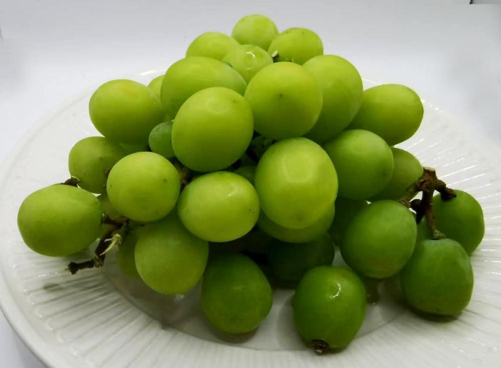 grapes.thumb.jpg.d888855065f9ead785a20781f06822fa.jpg