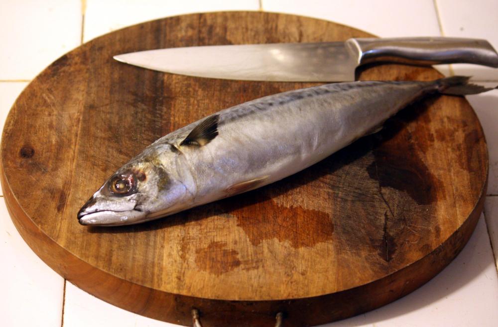 mackerel2(1).thumb.jpg.6e004c3622ec8e354517b6a2526f12b4.jpg