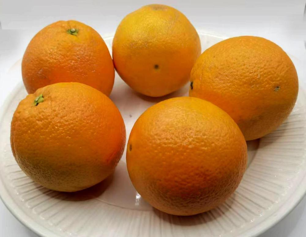 oranges.thumb.jpg.14c283865248ce02afb7d761e174d3ab.jpg