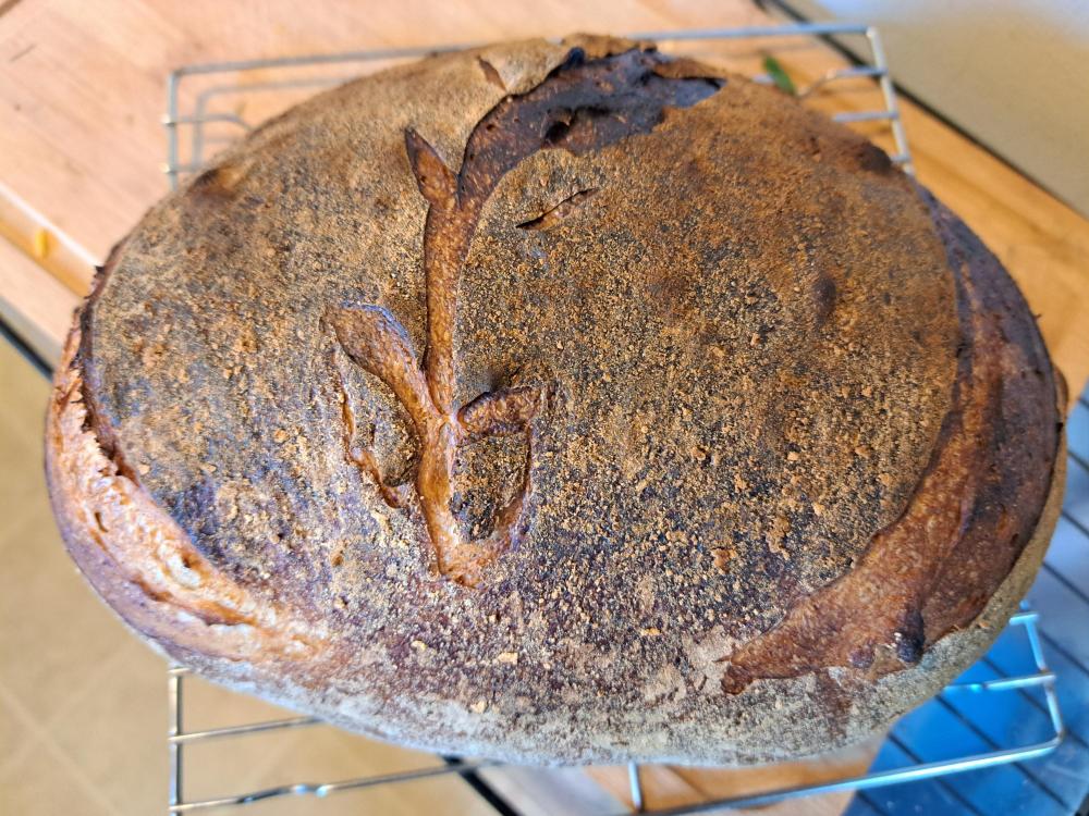 rubaud levain liquid rye 8-3-24.jpg