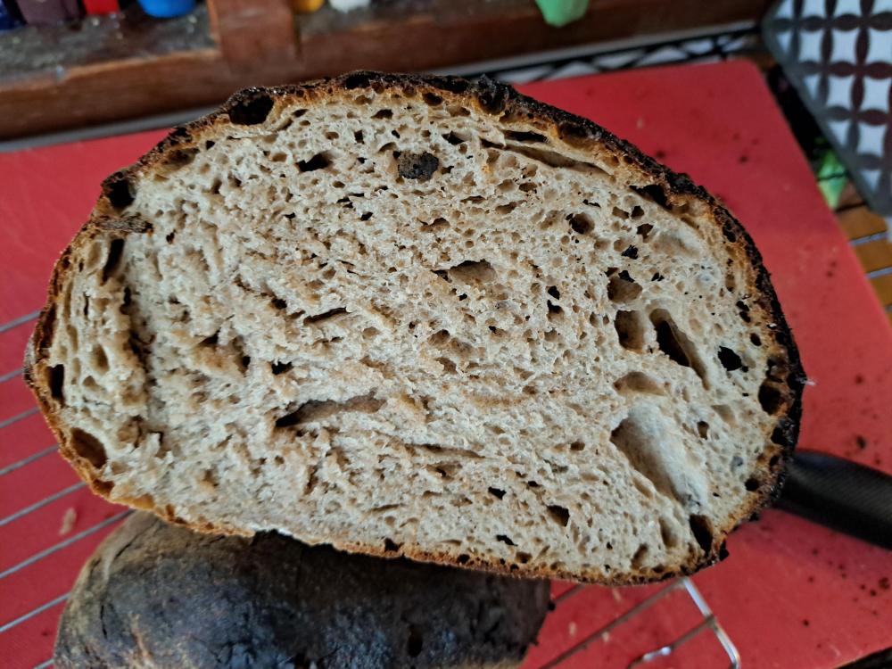 rubaud levain liquid rye crumb 8-3-24.jpg