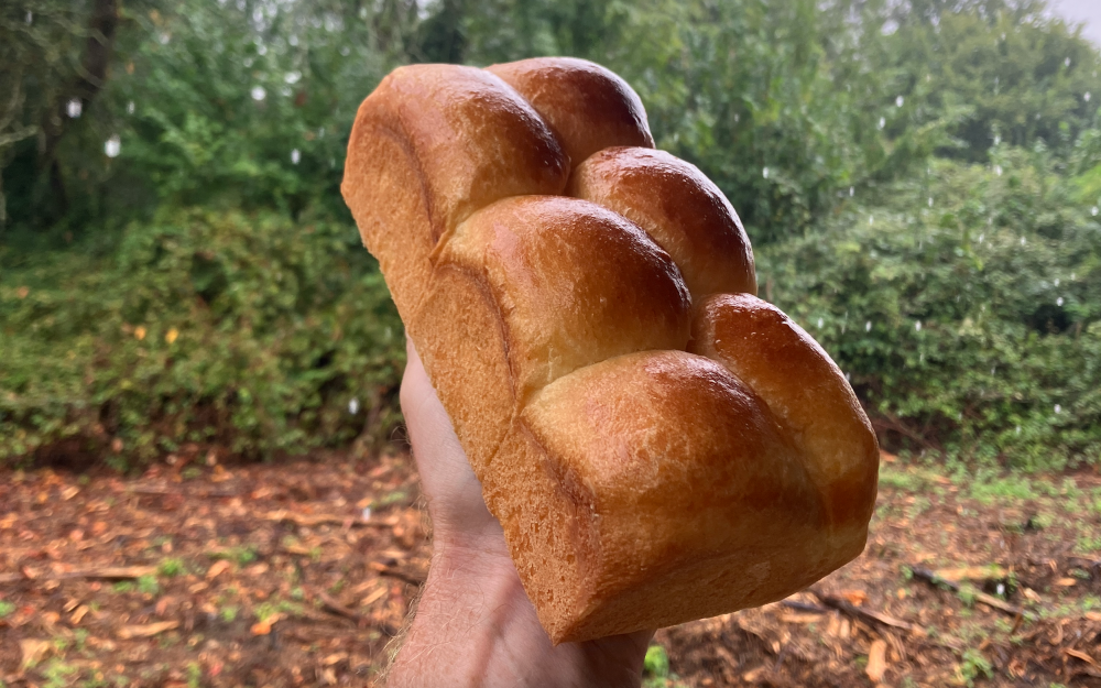 Brioche1.thumb.png.cbda6afd0e3d248904d9a1fcf281dc76.png