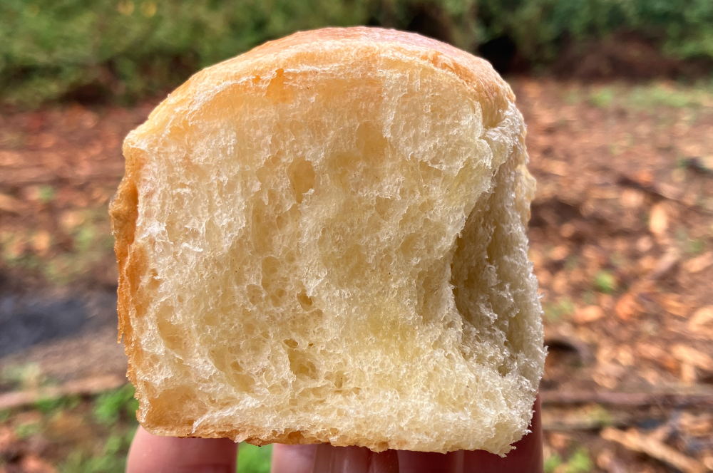 Brioche2.thumb.png.540466a9fd45f1f4958dc85236187b94.png