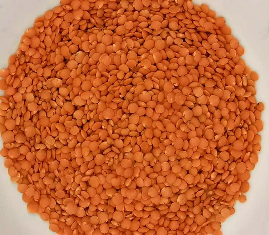 redlentils.thumb.jpg.a4dc86188f41a2f9583d4f2170114255.jpg