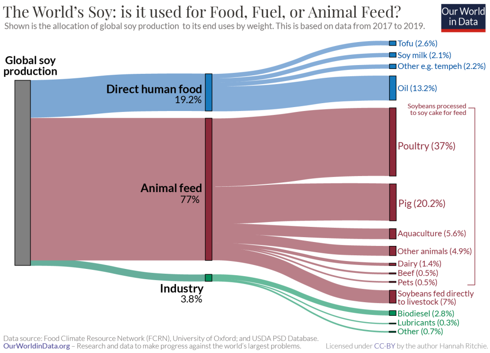 Global-soy-production-to-end-use.thumb.png.c0e3091d2eecb05154313496f7e299a7.png