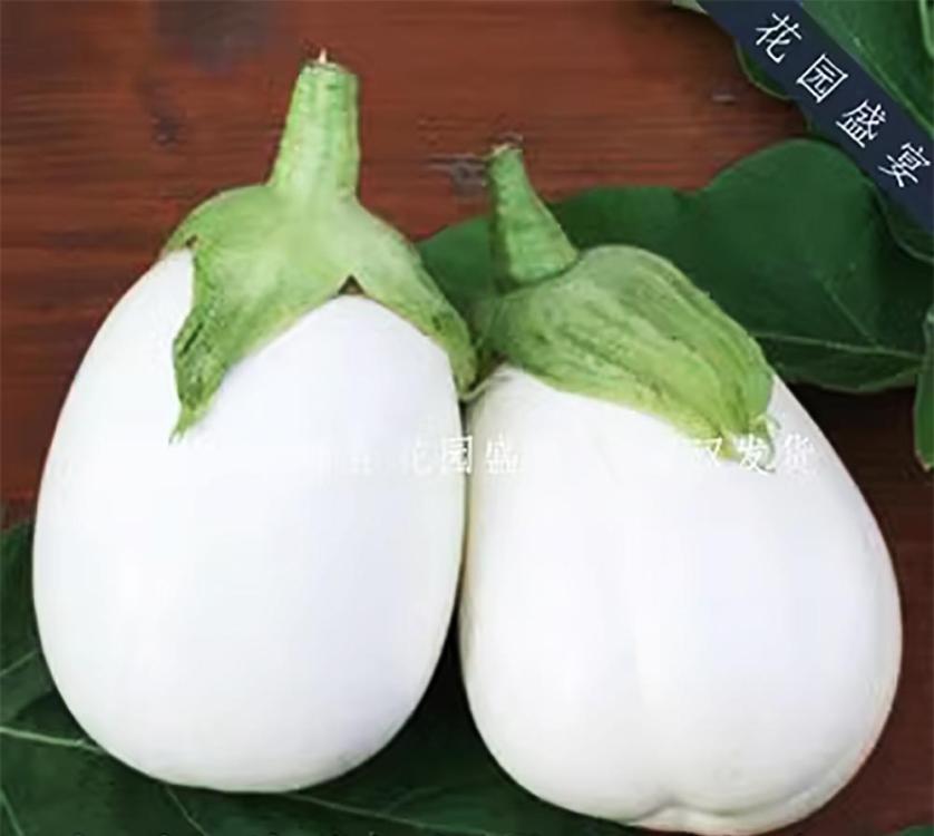 WhiteAubergine.thumb.jpg.06cb452d918d8c2d363b9d38b0fec519.jpg