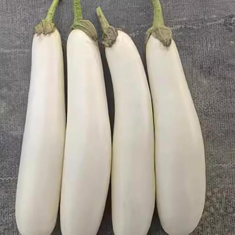 longwhiteaubergine.thumb.jpg.cf14be9d48c2b6c5164339f0b078eb2a.jpg