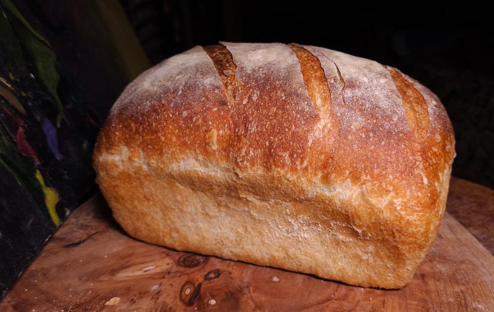 SourdoughLoafPanFebruary19th2025.thumb.jpg.d840bf860dc018f5fb77f6289512081b.jpg