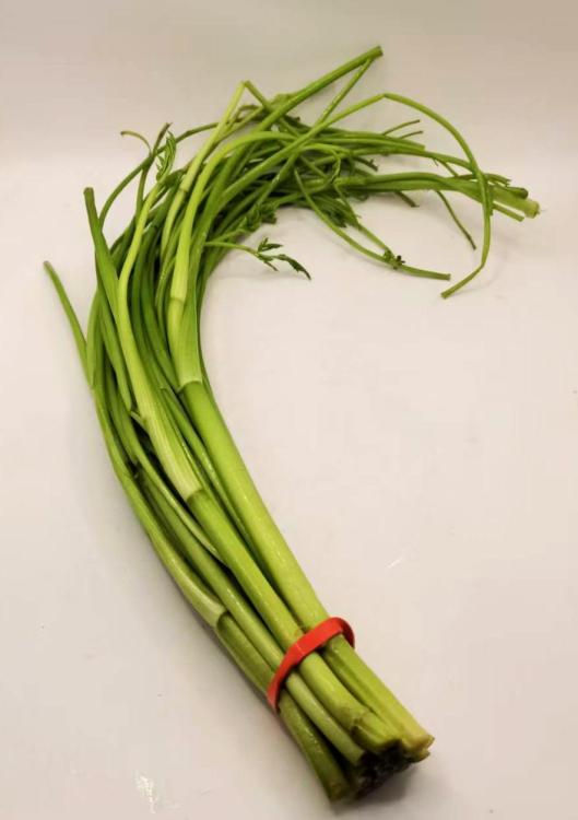 watercelery.thumb.jpg.18ebd91e1b769366ef391ae49afc3b35.jpg