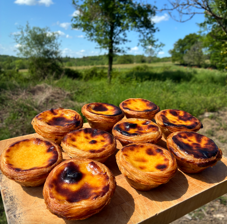 Natas.png