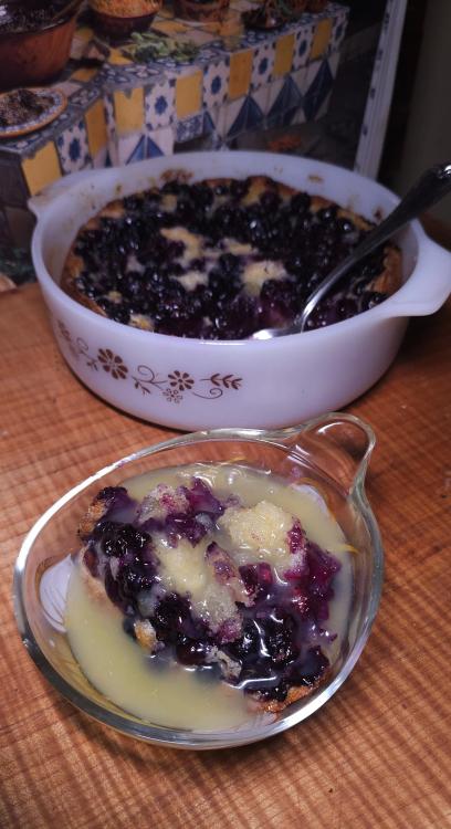 Blueberry Cobbler July 29th, 2005 1.jpg