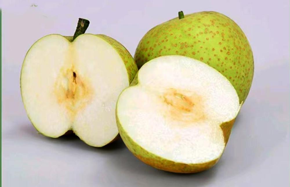 sand pears2.jpg