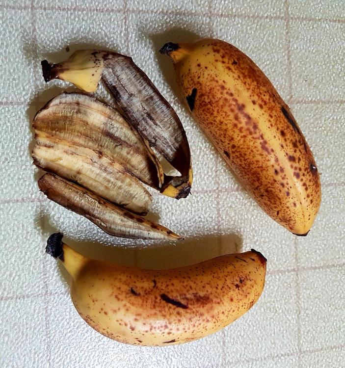 20250910_080737.jpg