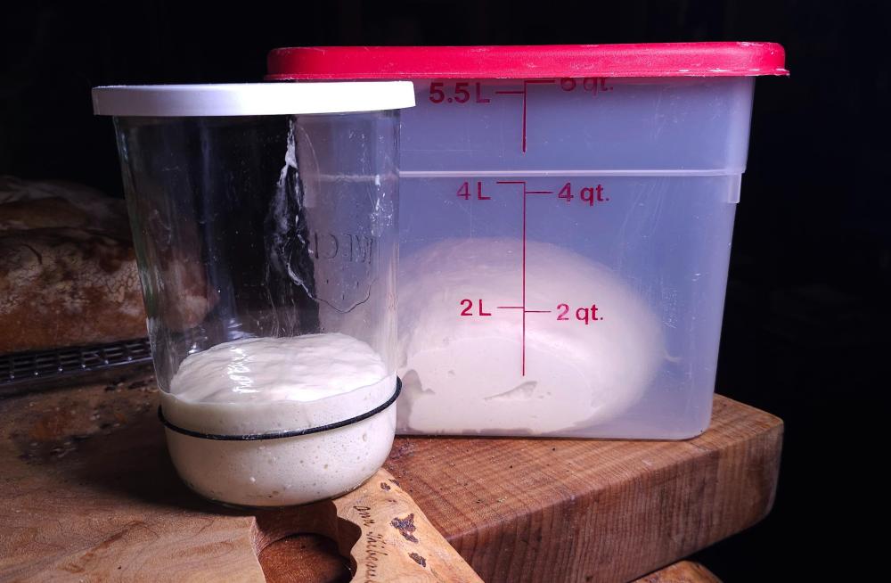 900g batch made with mini starter September 21st, 2025.jpg