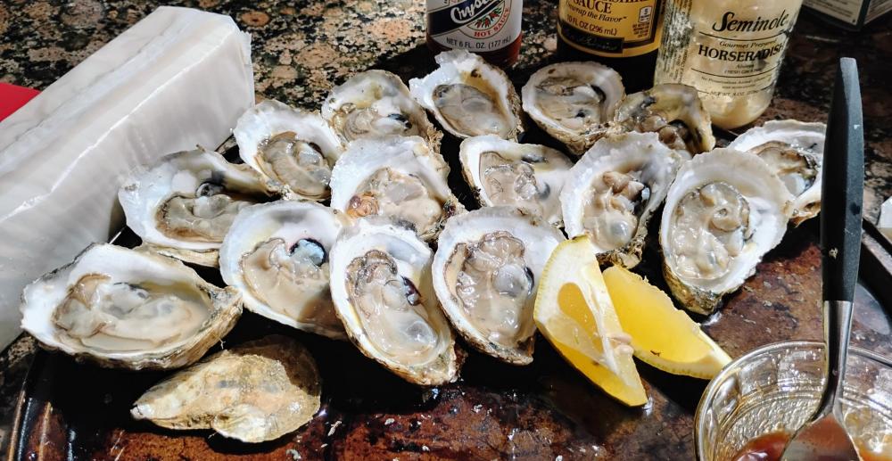 IMG_20251007_122331807_HDR.jpg
