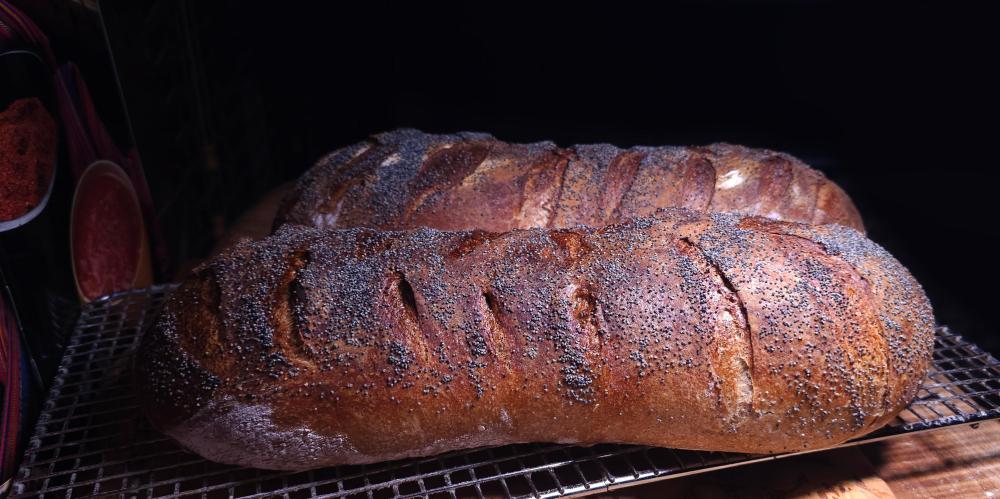 Sourdough Rye October 2nd, 2025.jpg