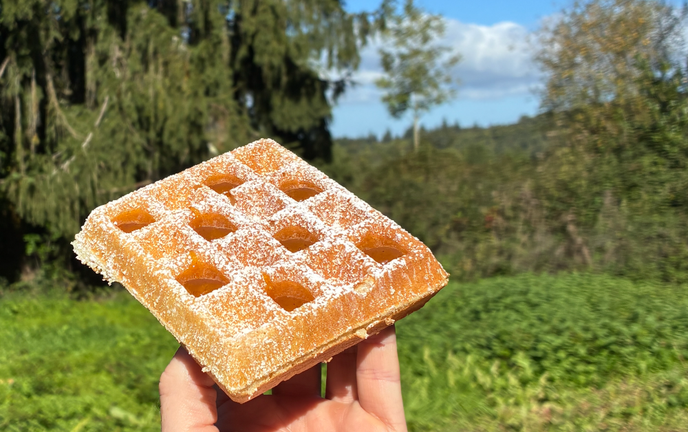 Waffle 1.png