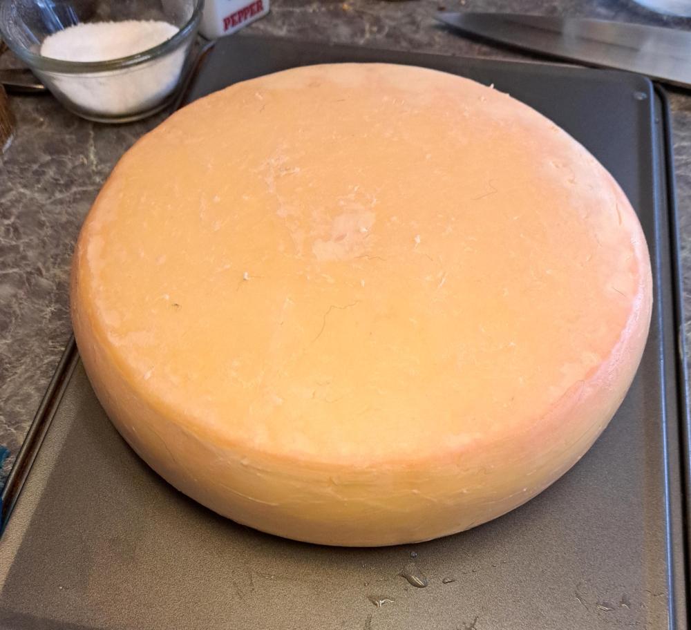 raclette - 00525 - 10 weeks, whole wheel.jpg