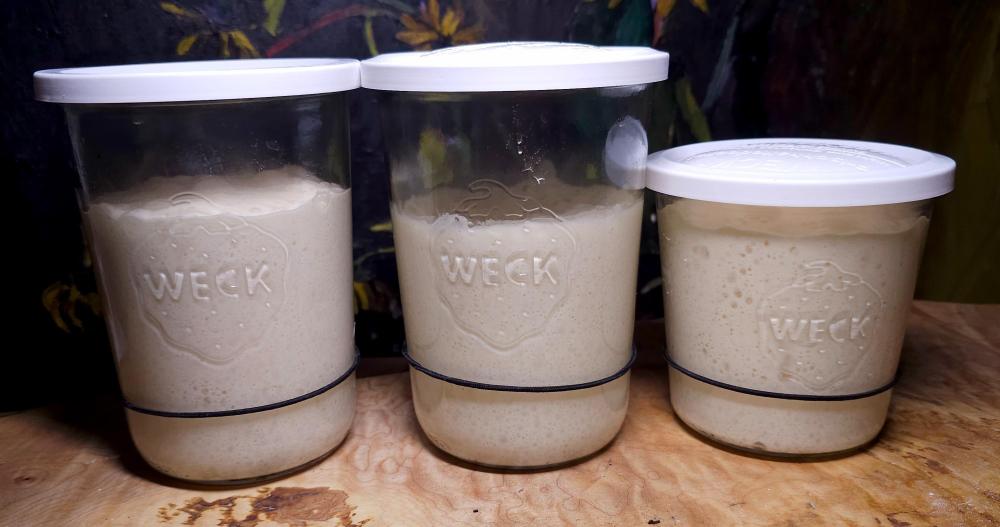 Scapings in the Jar mini bigas November 14th made the night before.jpg