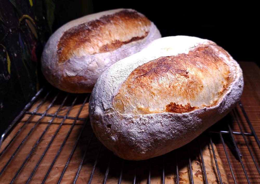 Sourdough Batards Baked December 30th, 2025.jpg