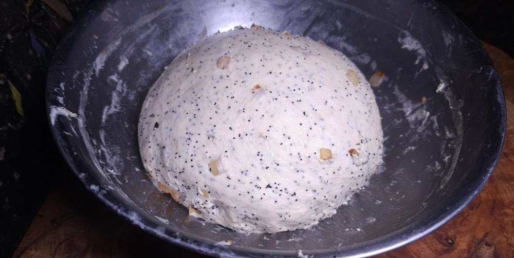 1st stretch and fold after initial mix January 5th, 2026.jpg